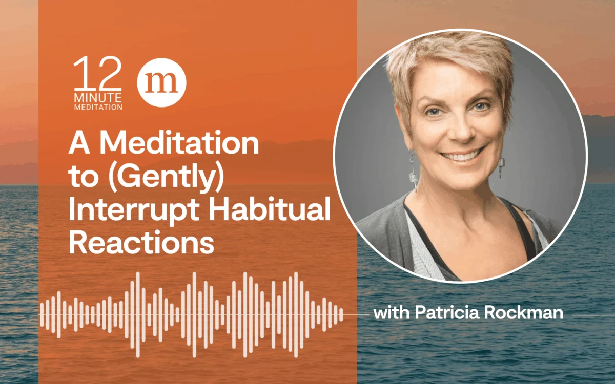 Cultivating Intentional Responses: A Deep Dive into Mindfulness for Interrupting Habitual Reactions