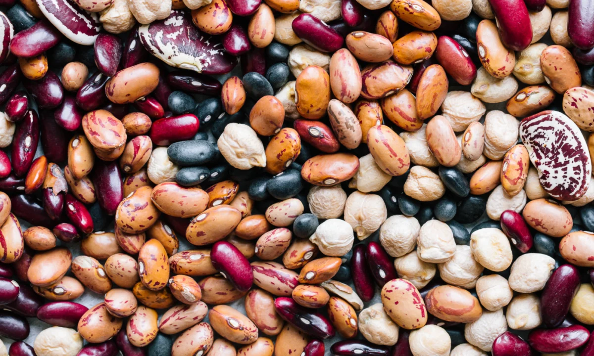 Daily Bean Consumption Linked to Significant Reductions in Cholesterol and Inflammation Markers in Prediabetic Adults