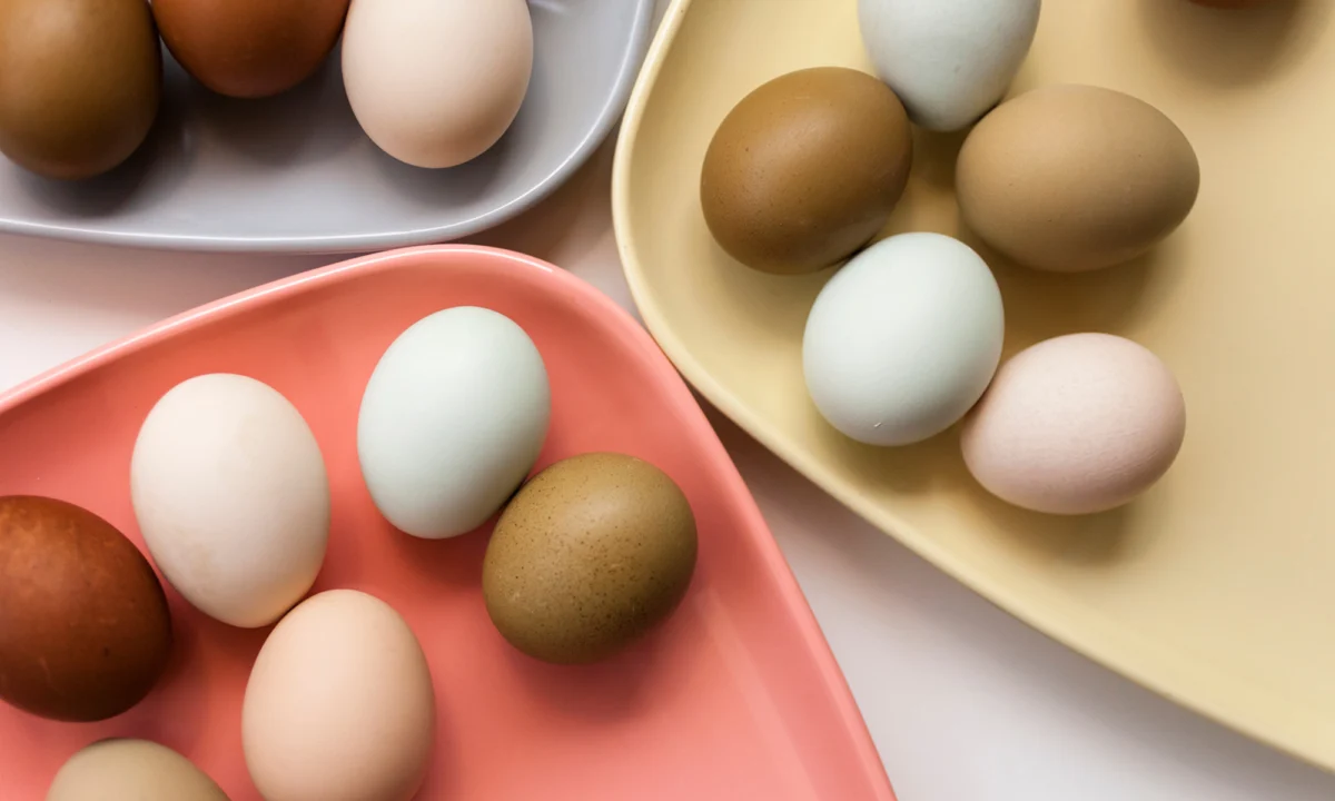 The Efficacy and Nutritional Science of Eggshell Membrane Supplementation for Joint and Skin Health