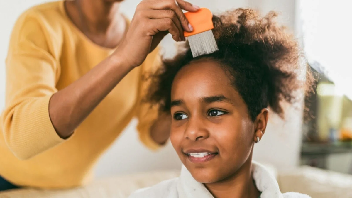 The Lice Lifeline: Expert Advice for Navigating the Dreaded Infestation with Calm and Confidence