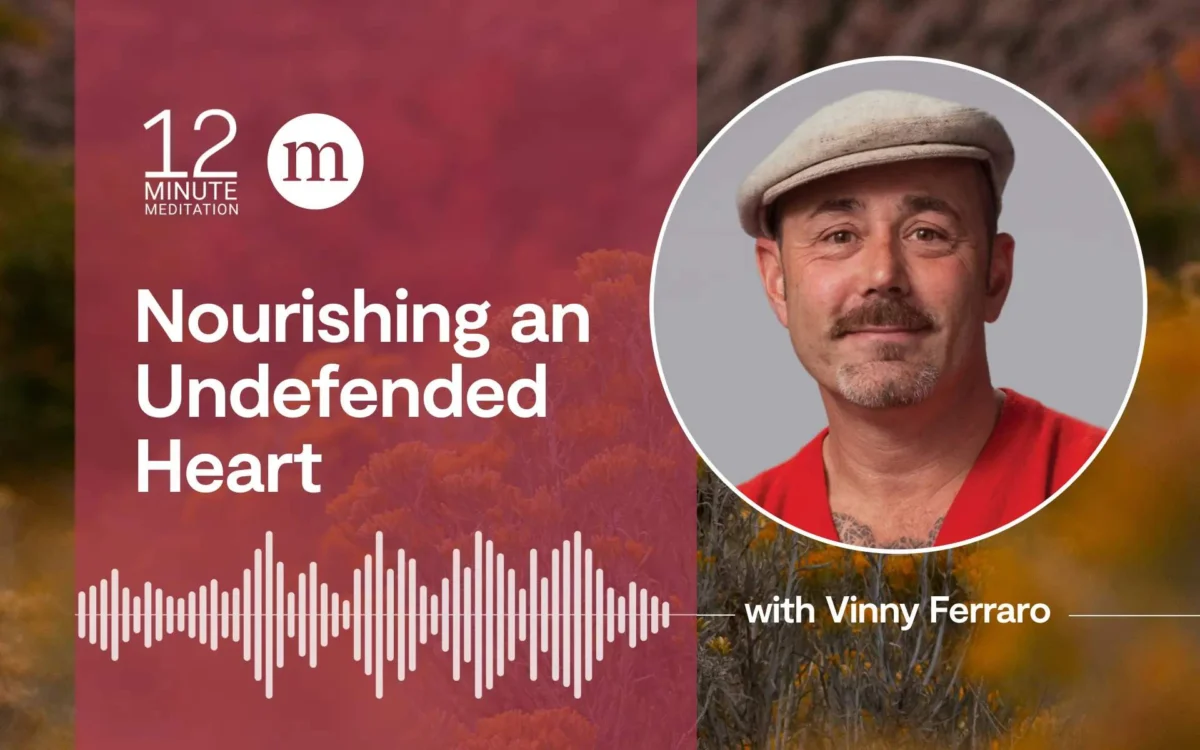 The Undefended Heart: Cultivating Compassion and Resilience in a Disconnected World