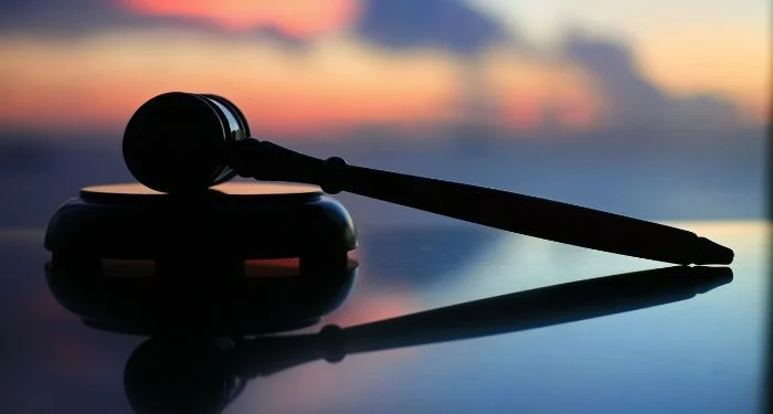 Court Victory for American Libraries, the Institute of Museum and Library Services