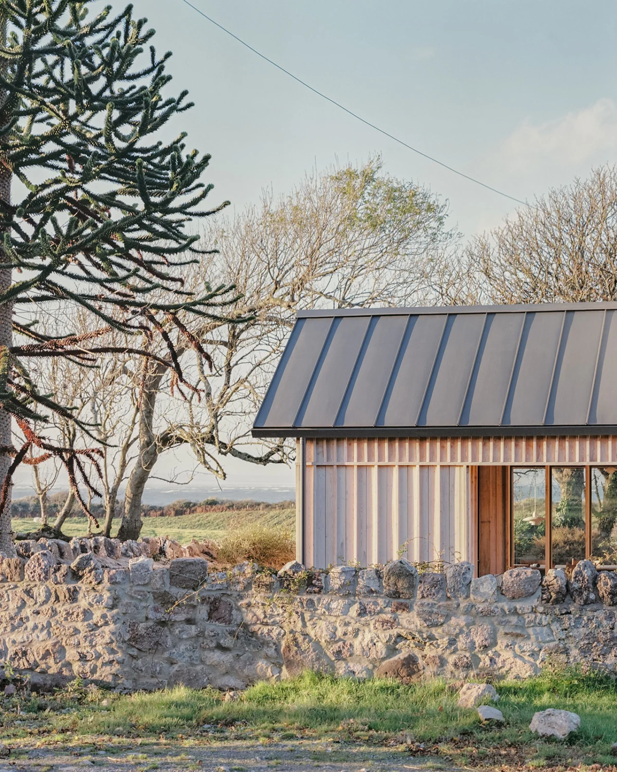 Delfyd Farm: A Beacon of Sustainable Design Harmonizing with Gower’s Area of Outstanding Natural Beauty