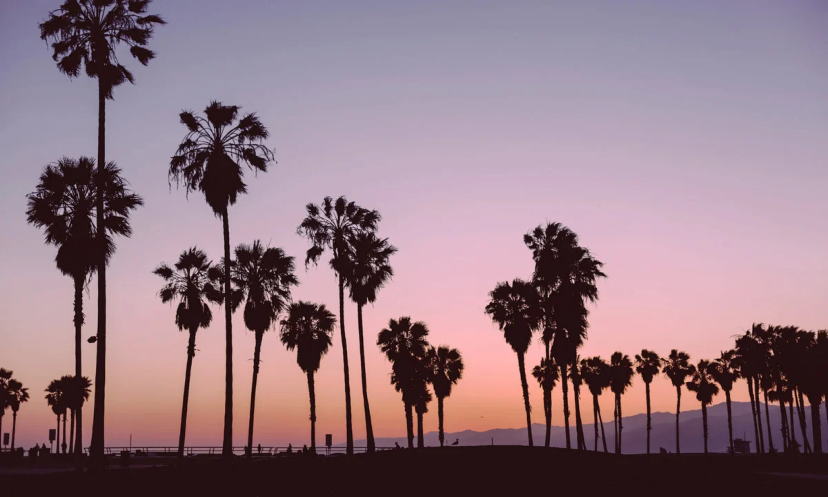 Here’s What You Need To Know About The First New Moon Of The Astrological Year