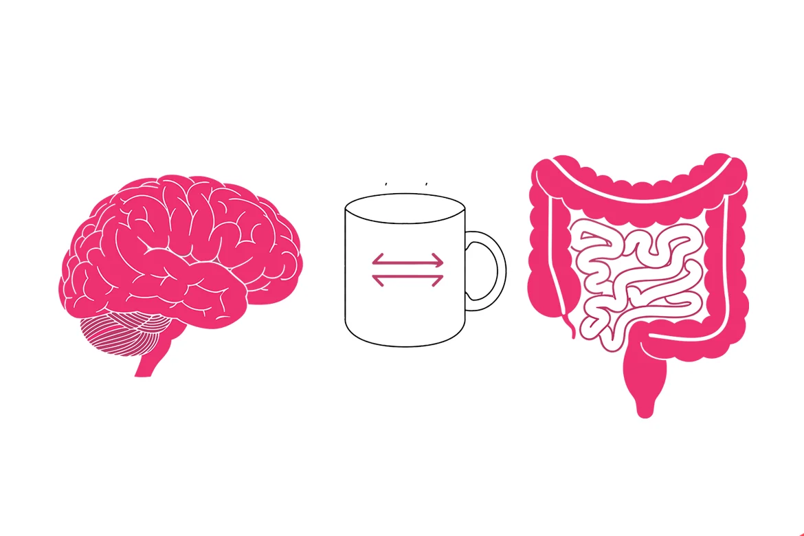 New Research Reveals Coffee Synergistically Enhances Gut Health and Mental Well-being Through the Gut-Brain Axis