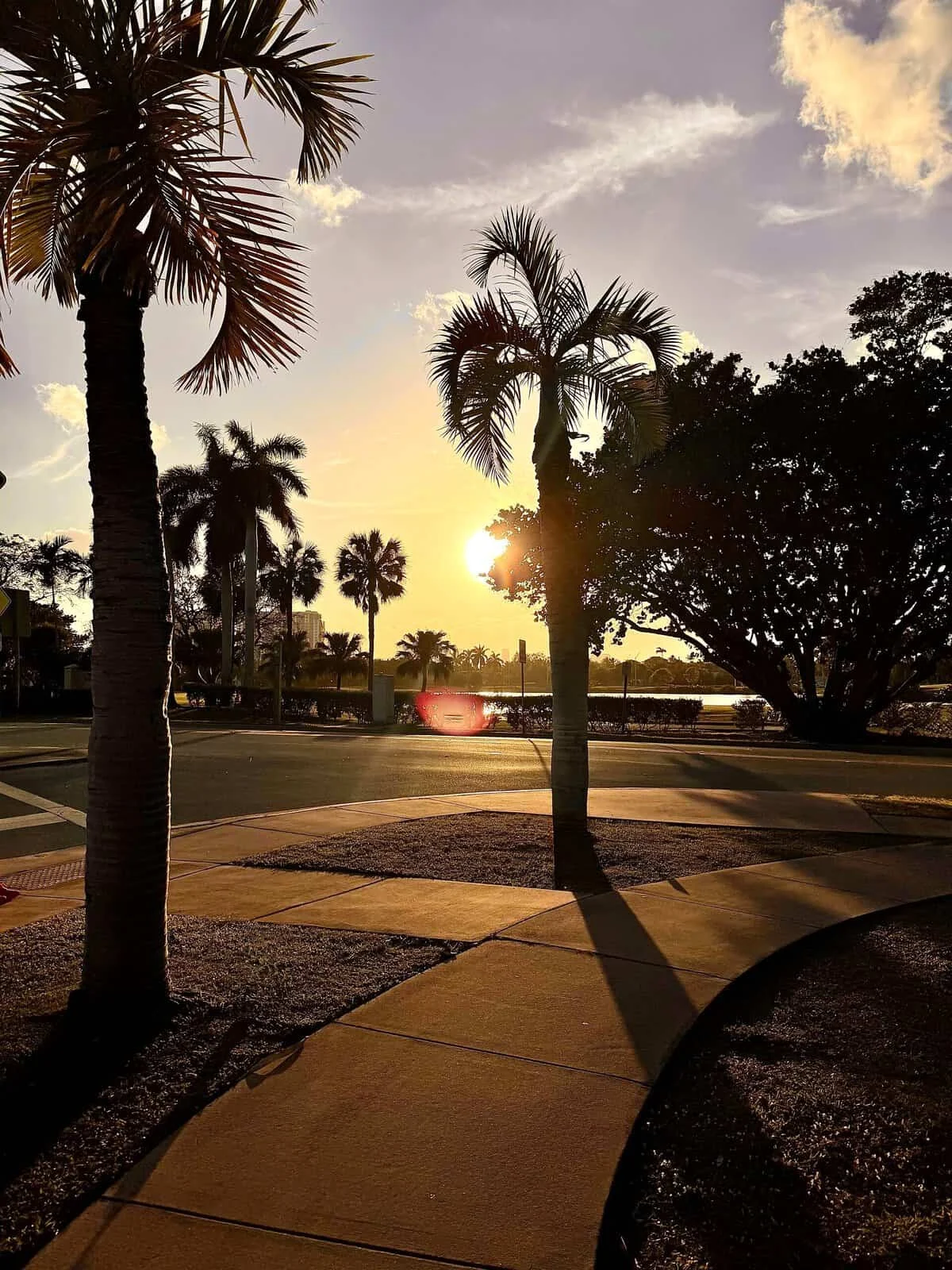 Nine Favorite Things