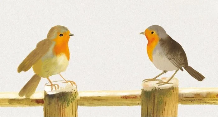 The Winner of the First ‍James Patterson & Bookshop.org Prize Is One of Last Year’s Buzziest Titles