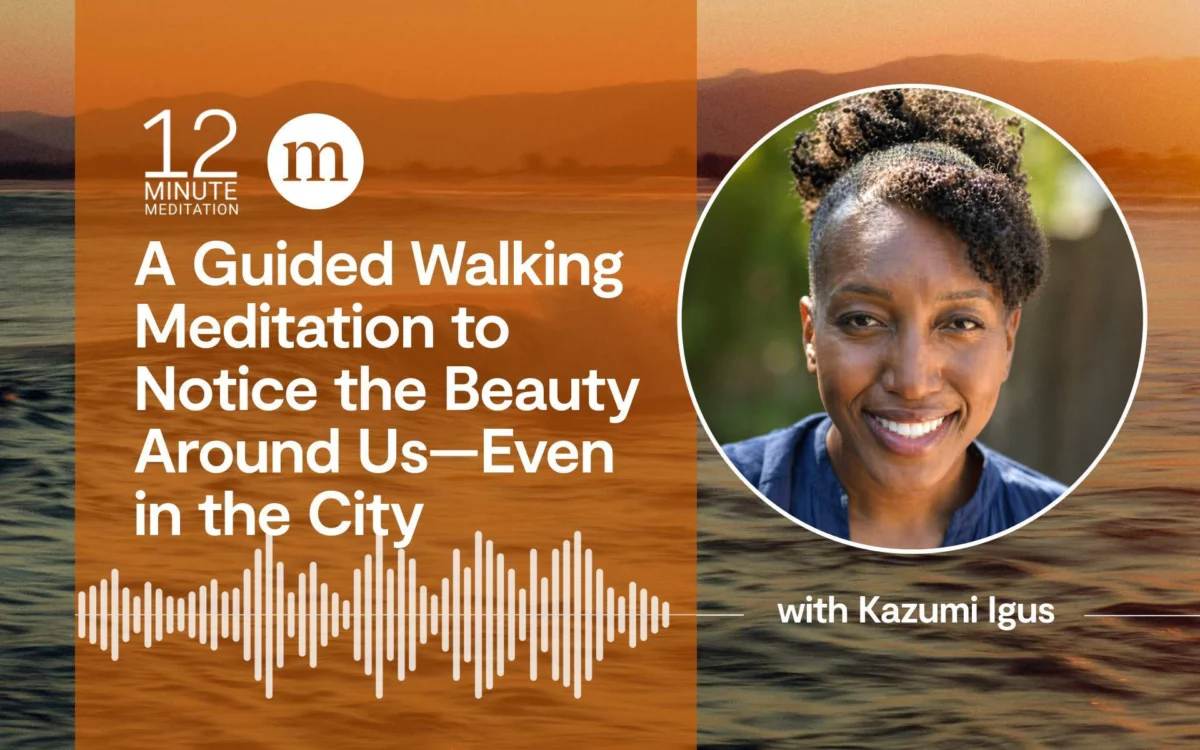 A Guided Walking Meditation to Notice the Beauty Around Us—Even in the City: A Deep Dive into Urban Mindfulness and Well-being