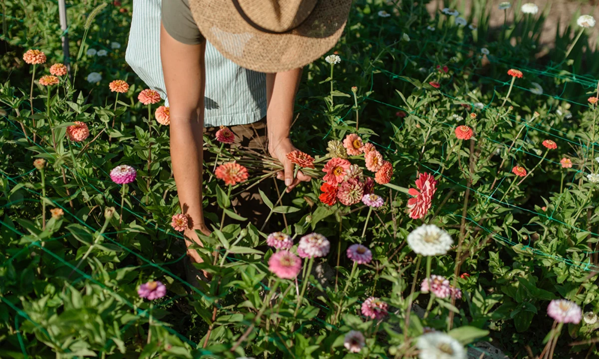 Nature Exposure and Life Satisfaction: How Body Appreciation Acts as a Key Driver of Well-being Across Fifty-Eight Nations