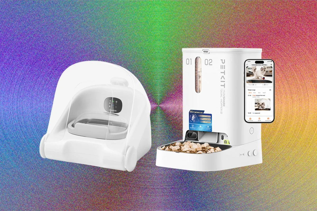 Testing and Reviewing Modern Automatic Cat Feeders: A Comprehensive Analysis of Market Options for 2024