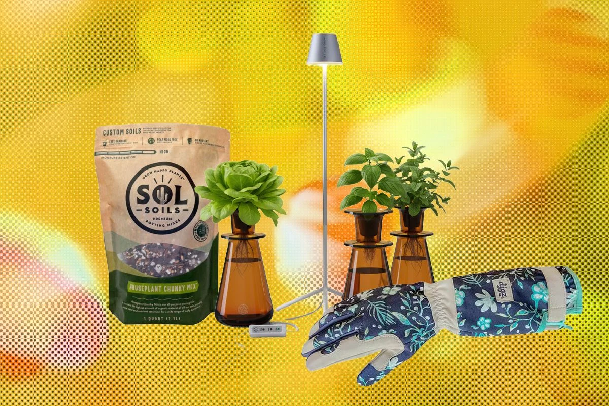The 15 Best Gifts for Plant Lovers and Gardeners