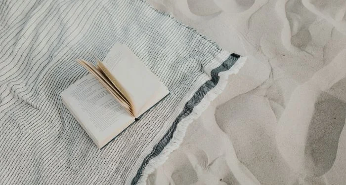 The New York Times Unveils Summer 2026 Beach Reads Amidst Literary Discourse on "Ragebait Lit" and a Call to Support a Black-Owned Bookstore