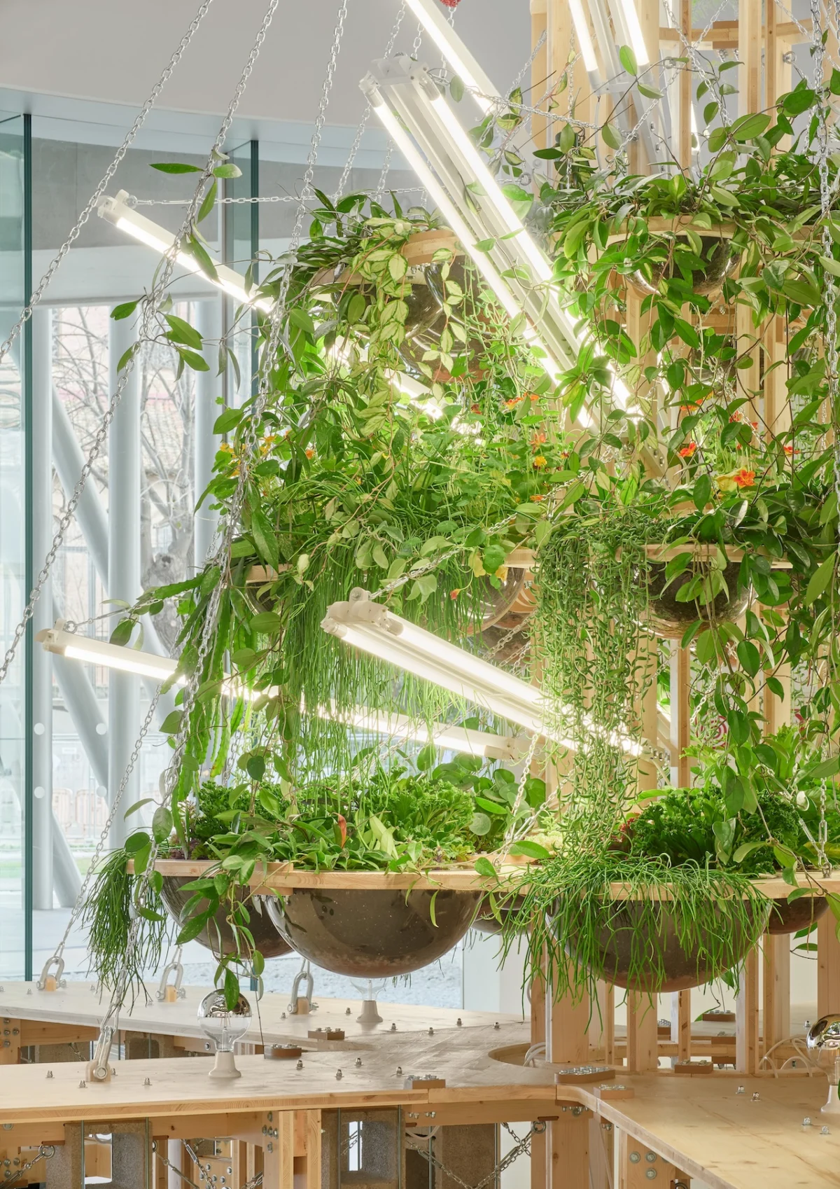 TAKK’s "Con-Vivere" Transforms MAXXI Lobby into a Vision of Interspecies Cohabitation and Decolonial Architecture