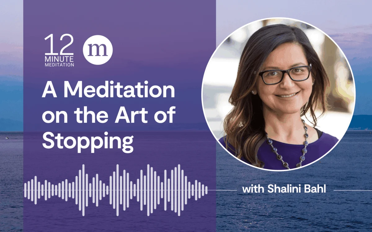 The Art of Stopping: Shalini Bahl Redefines Mindfulness as Accessible Micro-Moments for Modern Life