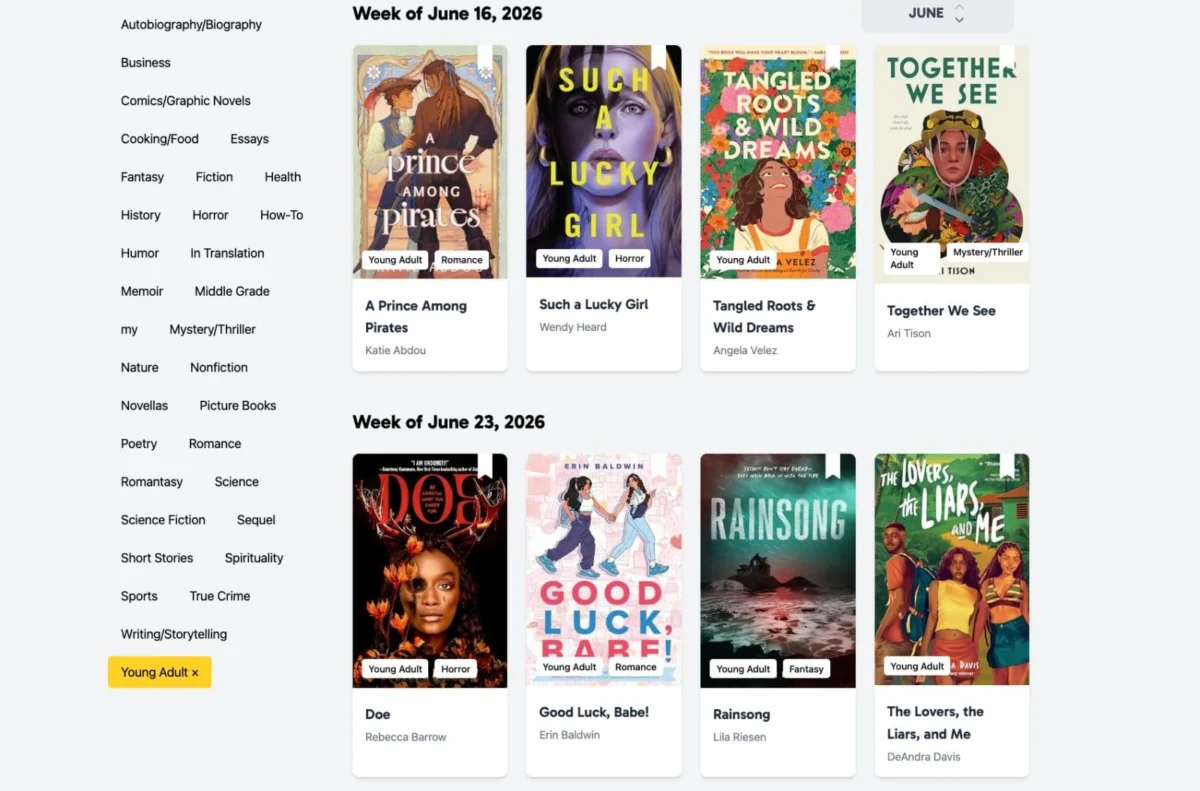 The New Release Index: A Solution for Navigating the Overwhelming Landscape of Young Adult Literature