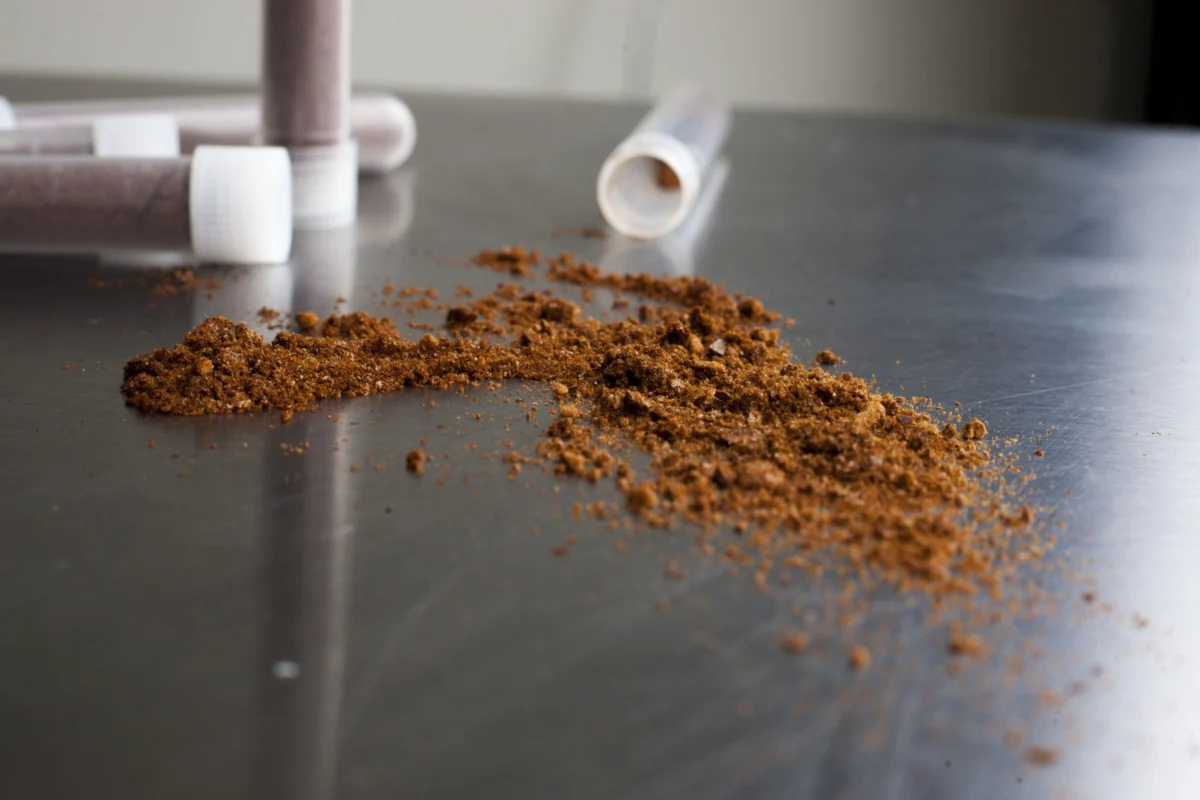 Filter Coffee Consumption Linked to Slower Biological Aging Processes While Instant Varieties Show Correlation with Accelerated Aging Trends