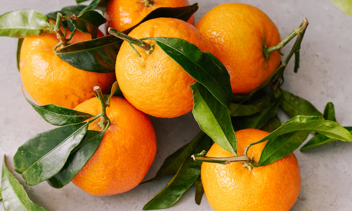 High Dietary Polyphenol Intake Linked to Significant Reductions in Type 2 Diabetes Risk According to Long Term Longitudinal Study