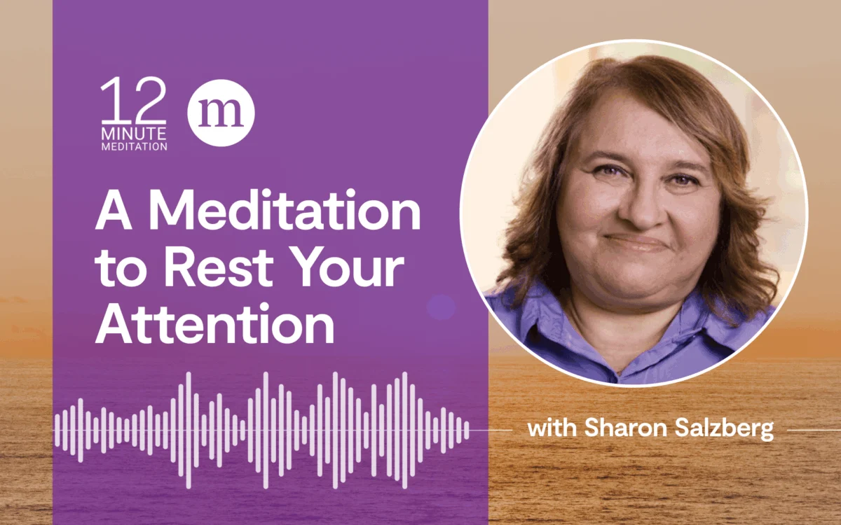 Nurturing Attention: Sharon Salzberg Guides a Restorative Approach Amidst a Noisy World