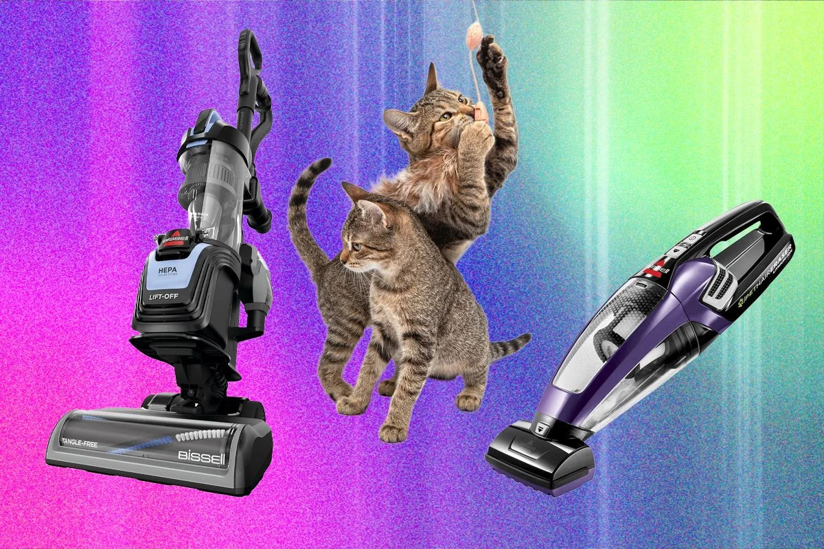 The Best Vacuum for Pet Hair—We Tested Many to Find Which Ones Work Best