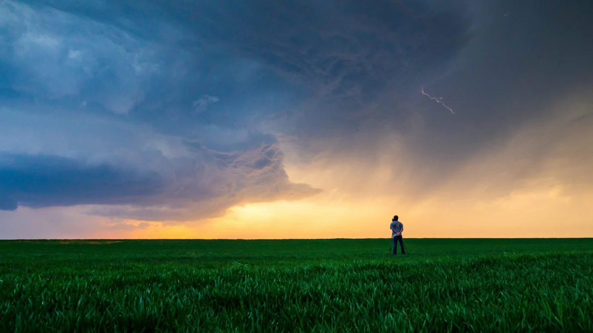 Unpacking the Avoidance Trap: How Modern Understanding of Anxiety Reprograms Our Innate Alarm Systems