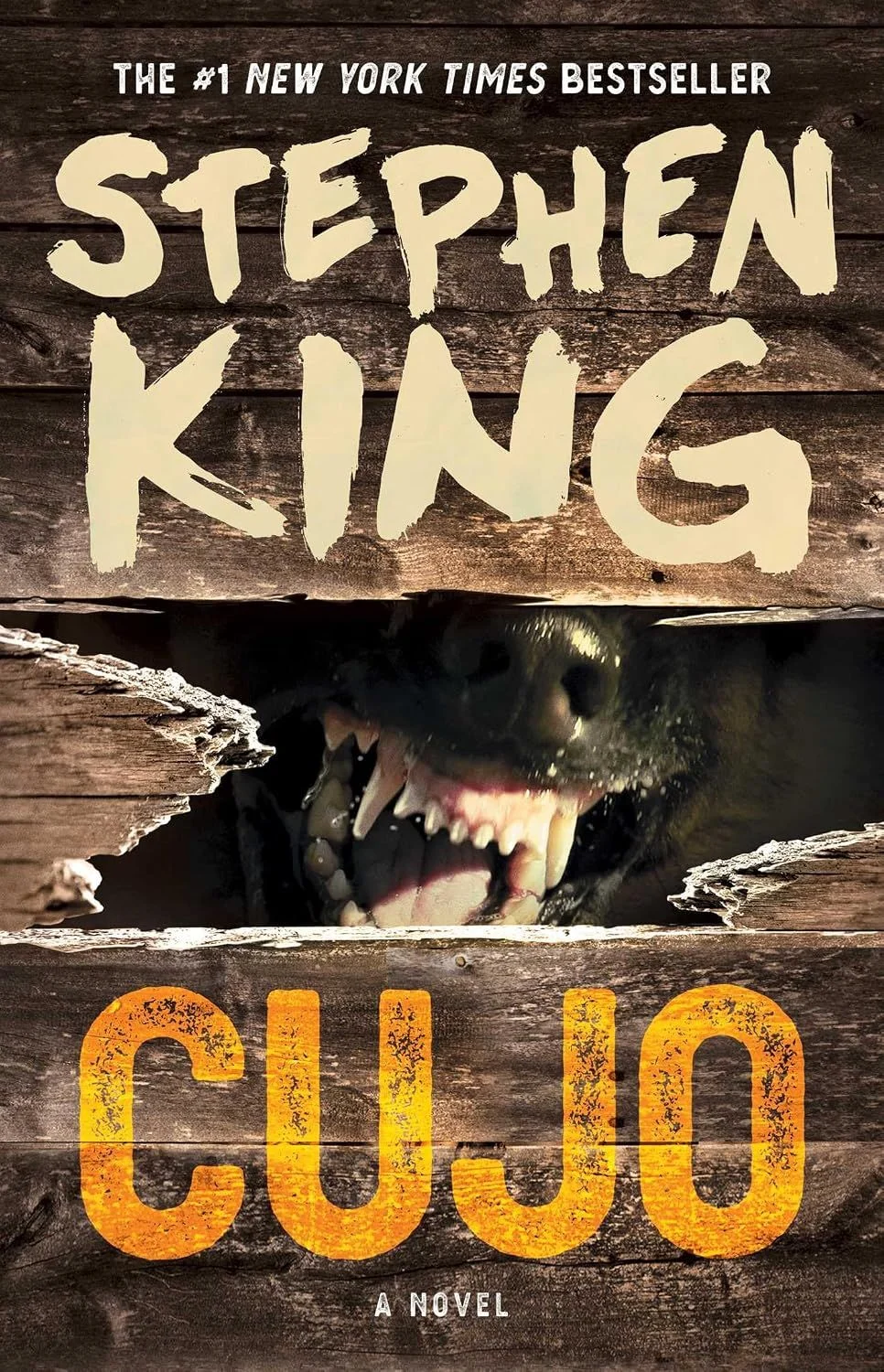Win a Curated Collection of 10 "Banged-Up Books" by Subscribing to the Premier Book Riot Newsletter