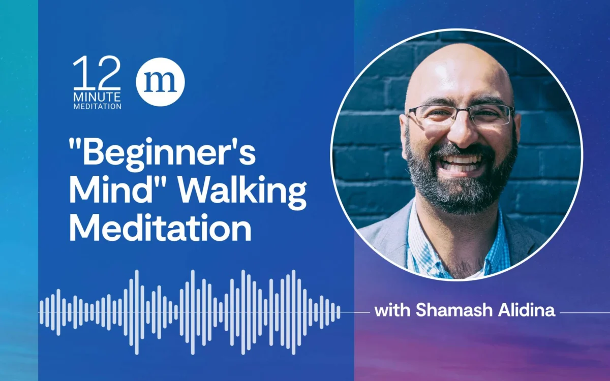 Awakening the Beginner’s Mind: How Mindfulness Expert Shamash Alidina is Transforming Everyday Walks into Cognitive Resets