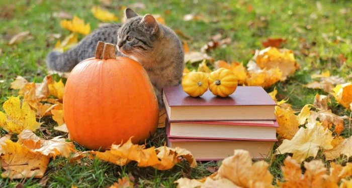 Beyond the Spooky: Graphic Novels That Capture the True Essence of Autumn
