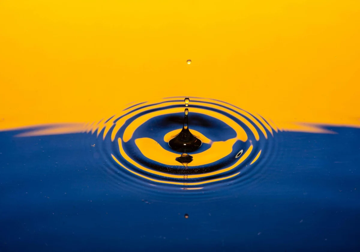 Finding Balance Amid Modern Overload: How Mindfulness Reshapes Daily Resilience and Decision-Making
