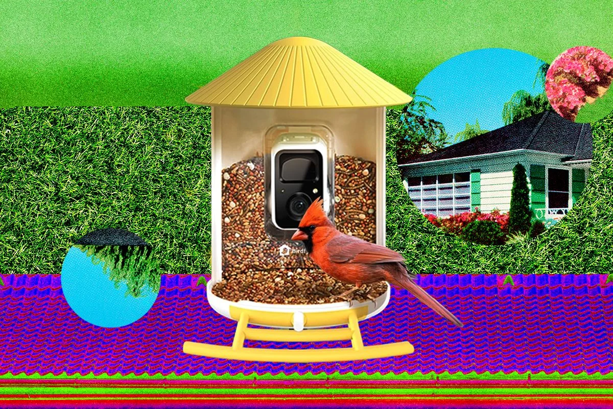 The Best Smart Bird Feeders for Backyard Birding