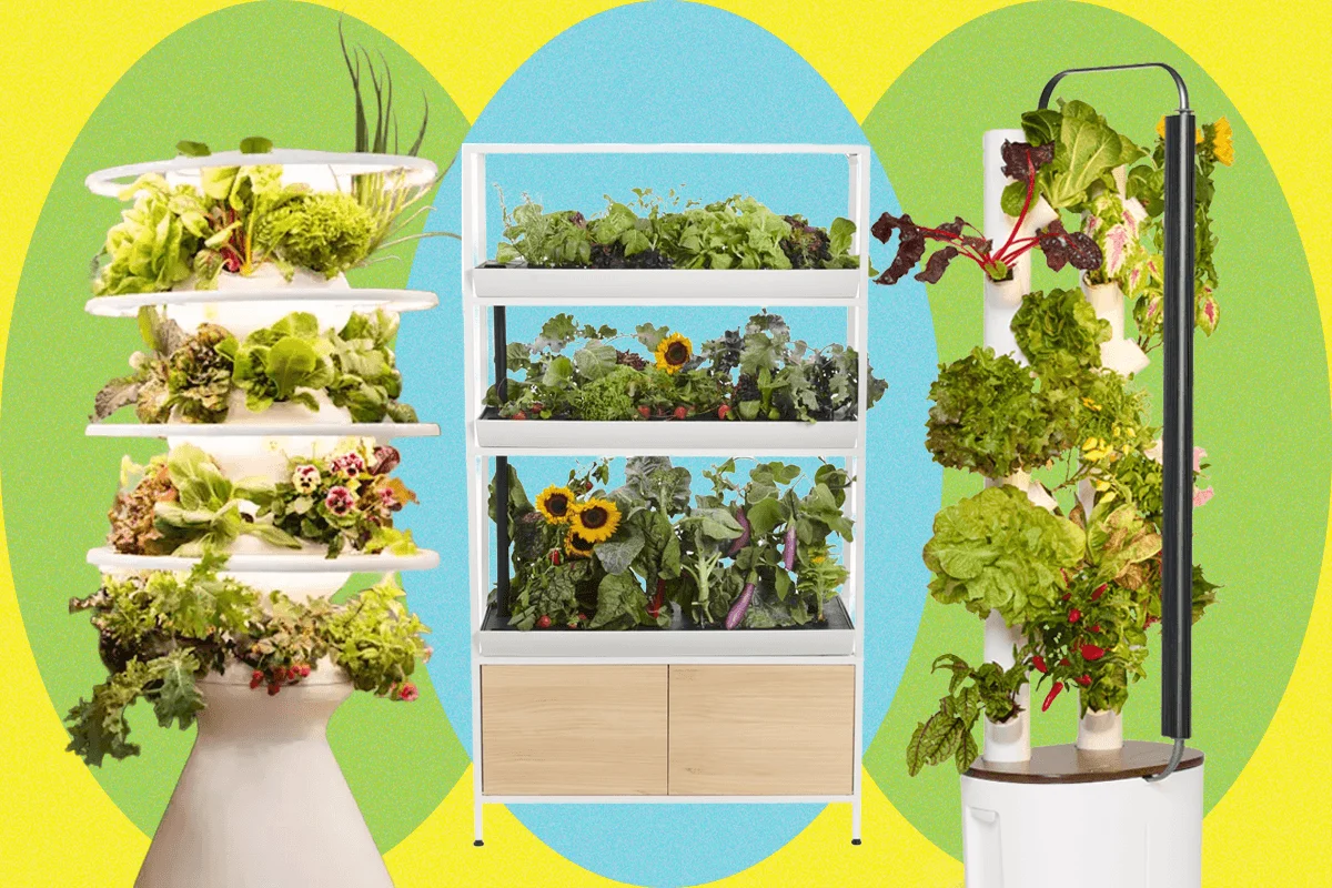The Evolution of Indoor Hydroponic Systems: Evaluating Performance and Sustainability in the Modern Home