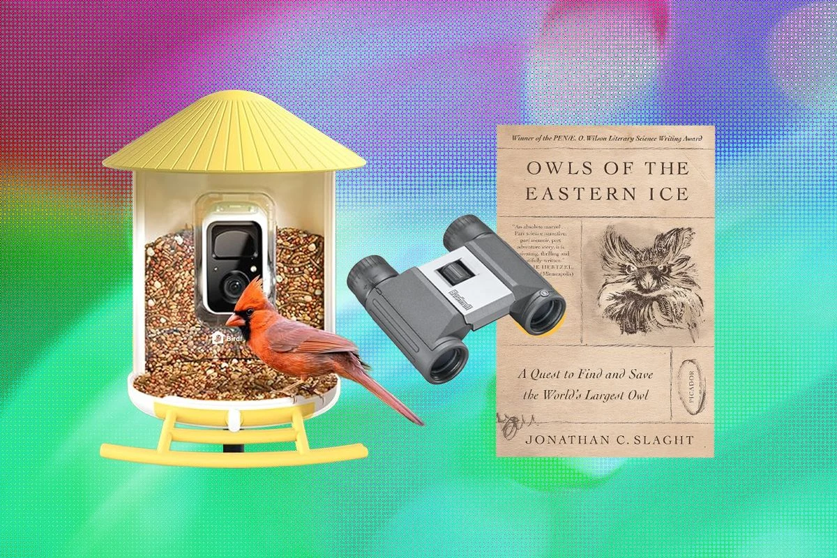 The Ultimate Guide to Choosing the Best Gifts for Bird Lovers in 2026